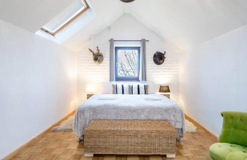 Somloszolos Apartment | Perfect vacation at winery