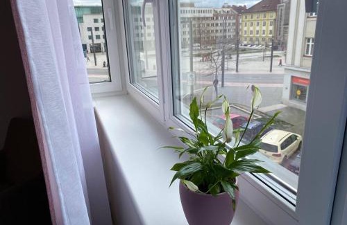 Hradec Kralove Apartment | Perla Hradce 202