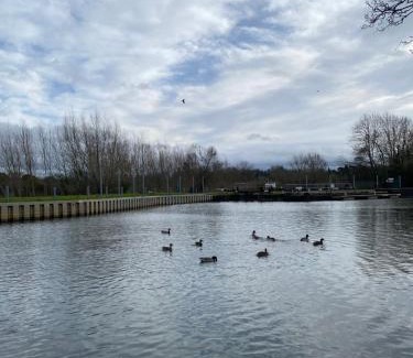 Pershore Hotel | Pershore Rooms at The Star Inn