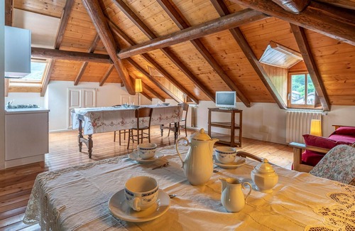 Loco Apartment | Pet friendly apartment