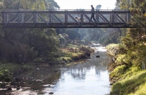 Northcote Apartment | Pet friendly apartment in inner north east
