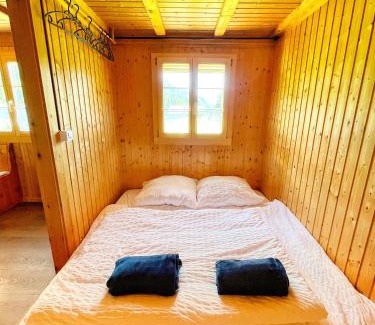 Hasliberg Apartment | Peter's Hütte in Hasliberg Bidmi