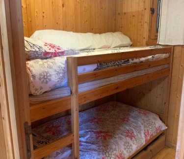 Barcelonnette Ski Chalet | Petit chalet 40 m2 en Ubaye BARCELONNETTE