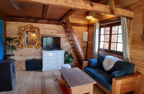 Dingy-Saint-Clair Ski Chalet | Petit chalet authentique