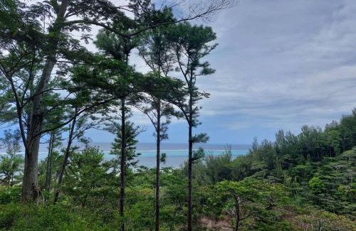 Moorea-Maiao House | Petite Maison Premium vue mer