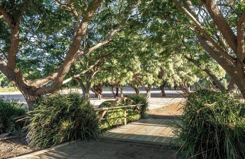 Yallingup Cabin | Petra Olive 4 - One Bedroom Apartment, Sleeps 2