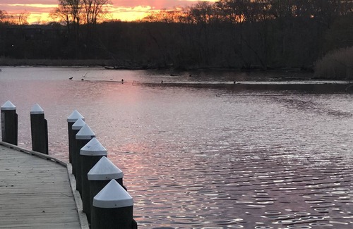 North East Cottage | Pets Welcome!! No Fees or Security Deposit