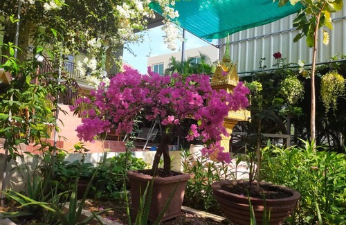 Kampong Cham Hotel | Phalla Riverside