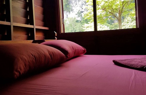Krabi Hotel | Phanom Bencha Mountain Resort