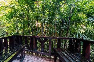Ao Nang Resort | Phu Pha Aonang Resort & Spa