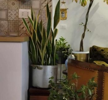 Kalsa Apartment | piccolo loft in centro storico