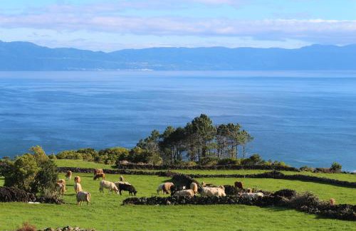 Prainha House | Pike Cliffs I