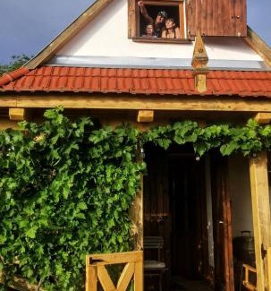 Ipolytolgyes House | Pillangó Présház