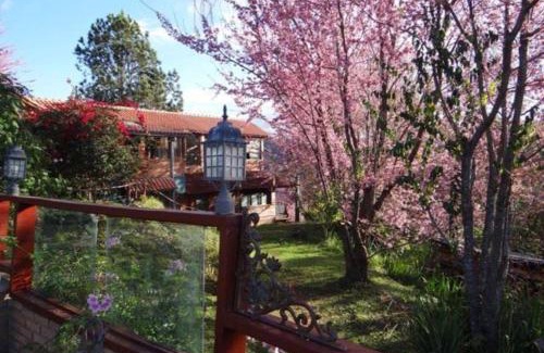 Delfim Moreira House | Pinot noir