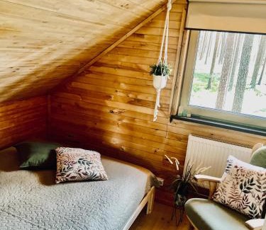 Mersrags House | Piparmētras