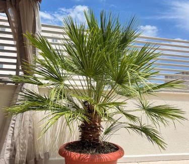 Alcanar Apartment | Piso con terraza a 5 min del mar