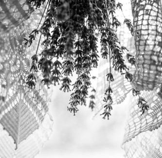 Pusztafoldvar Apartment | Pista bácsi háza