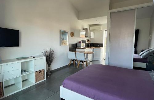 Toulon - Hyeres Apartment | Plage à 400 m Studio tout confort Terrasse Clim Parking