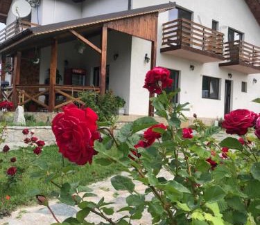 Greci House | Plai Dobrogean