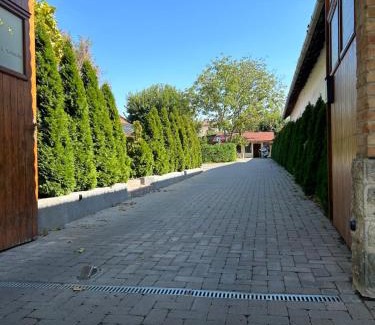 Csongrad Bed & Breakfast | Platán Panzió
