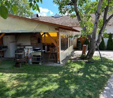 Csongrad Bed & Breakfast | Platán Panzió