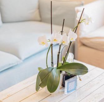 Fezzano Apartment | Platessa