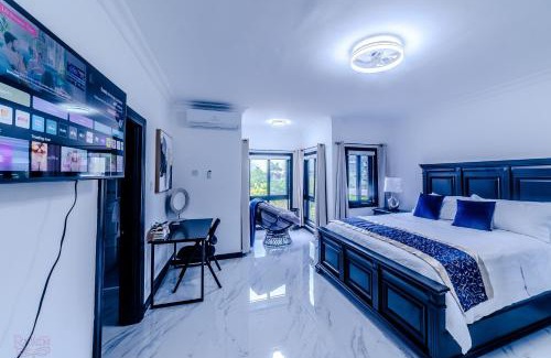 New Kingston Apartment | Platinum22