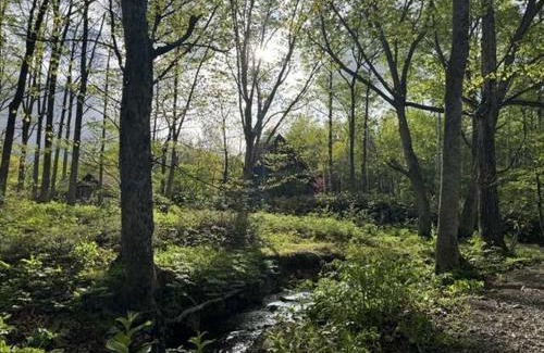 Shimizu Other | Playhouse Conifer - Vacation STAY 24021v