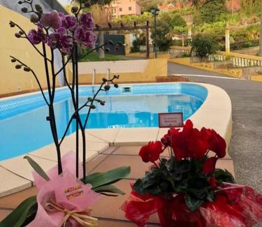 Estrela da Calheta Apartment | Pleasant Apartment with Private Pool in Lombo Do Doutor - 50 m²