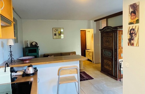 Montparnasse Apartment | Pleasant, quiet, south-facing 40 m2 apartment facing a 2000 m2 garden.