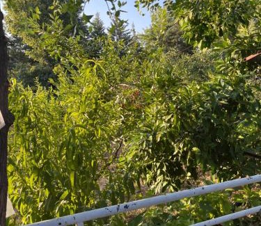 Merkezefendi Apartment | plenty of amenities, affordable price