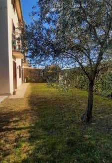 Rosa Apartment | PM 23 Via Rogge Guest House