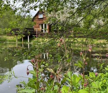 Cisna House | Pod dobrym adresem- domek nad stawem