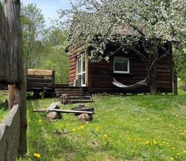 Cisna House | Pod dobrym adresem- domek nad stawem