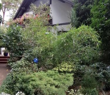 Jurata Apartment | Pod Sosnami