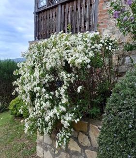 Rapolano Terme House | Podere Casalbosco - Idromassaggio e panorama