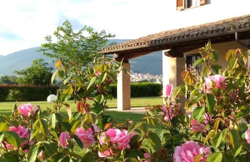 Spello Apartment | Podere Le Volte degli Angeli