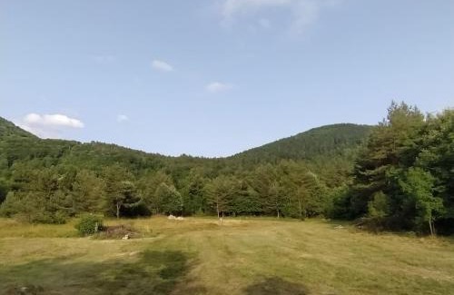 Ilirska Bistrica Ski Chalet | Podklanci-house in the forest