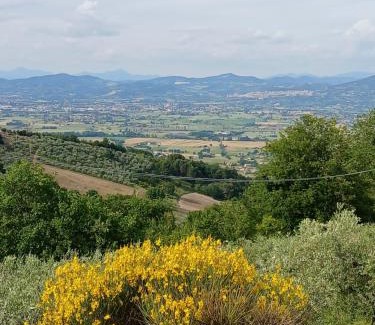 Collemancio Bed & Breakfast | Poggio La Grognola