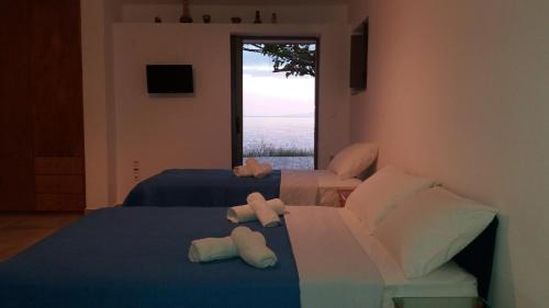 Lefktron Apartment | Pogonitsa