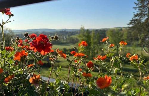 Wellin House | Point de Vue Caleste