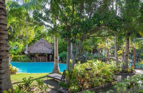 Loon Resort | Polaris Beach and Dive Resort Inc