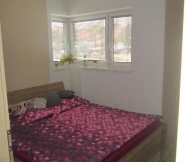 Uhersky Brod House | Polyfunkční dům Pasát