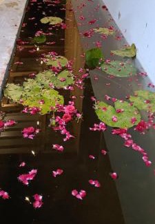 South Andaman District Bed & Breakfast | Port Begusarai