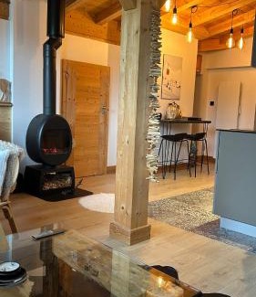 Montriond Apartment | Portes du Soleil T3 "comme un chalet" direct access Morzine Avoriaz
