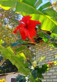 Pipa Cabin | Porto do Sol - Chalé 07