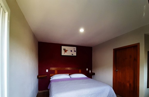 Xilitla House | Posada Ónix Xilitla