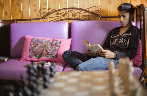 Silvania Bed & Breakfast | Posada Las Bromelias