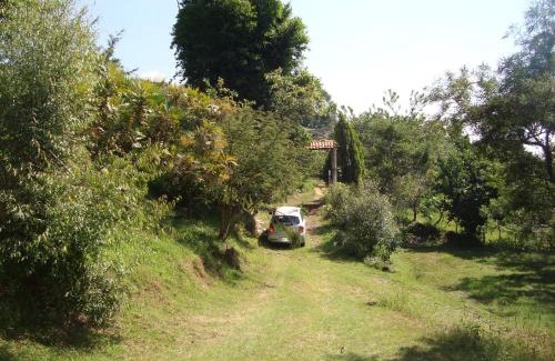 Tlayacapan Cabin | Posada Xamicalli