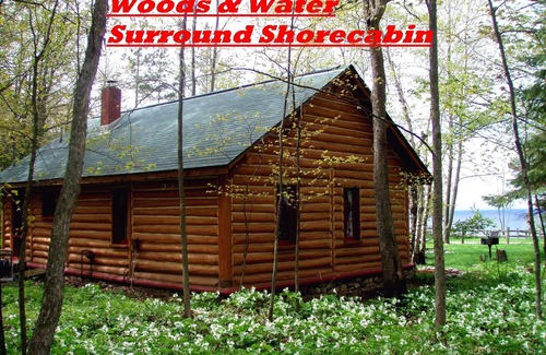 Harbor Springs Cabin | *Postcard*Adorable “Bliss” Log Cabin, Panoramic Lake Michigan and 6 Wooded Acres
